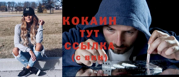 ПСИЛОЦИБИНОВЫЕ ГРИБЫ Кукмор