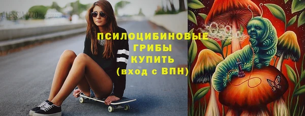 дживик Костерёво