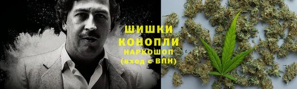 дживик Костерёво