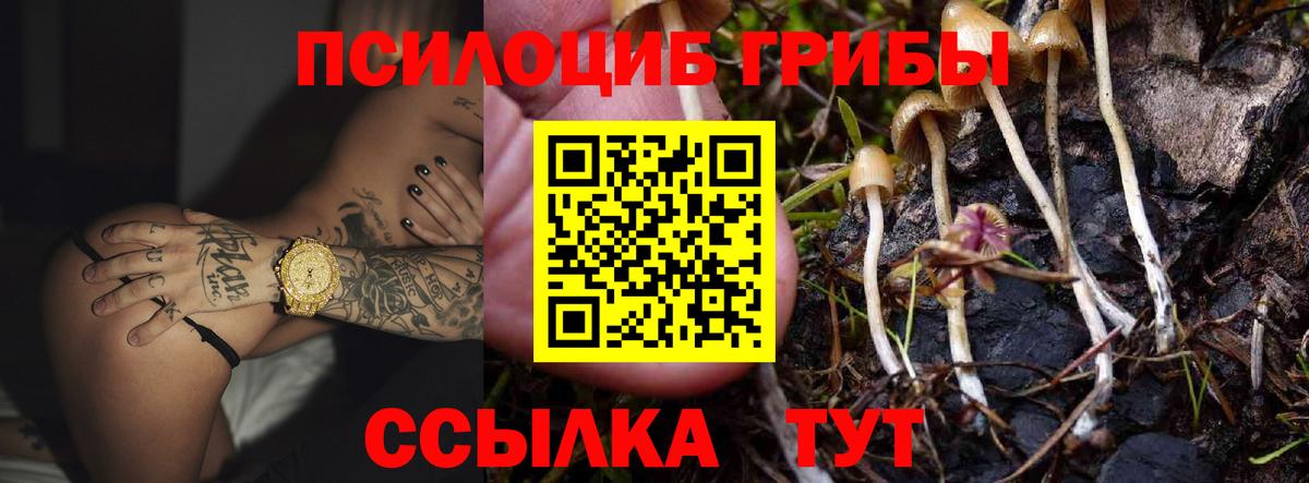 Псилоцибиновые грибы прущие грибы  Псилоцибиновые грибы Magic Shrooms  Малгобек  Вход с VPN 